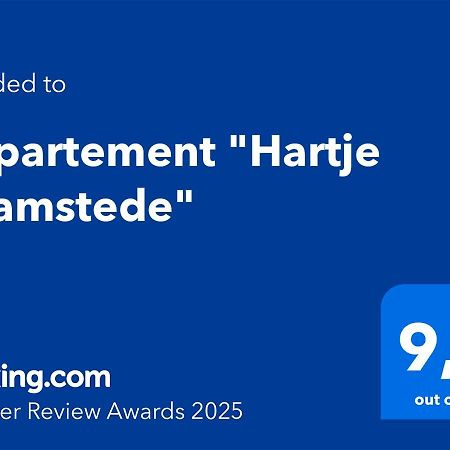 برغ هالمستاد Appartement "Hartje Haamstede" المظهر الخارجي الصورة